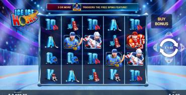 Ice Ice Hockey: Gestaltung