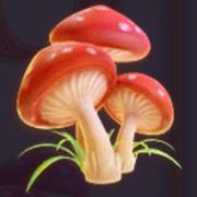 Irish Clover: Pilze