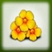 Isle O’Plenty: Blumen