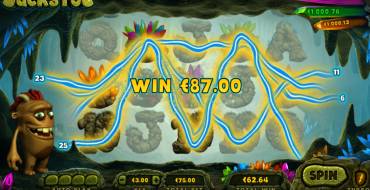 Jack’s Pot: Gewinne