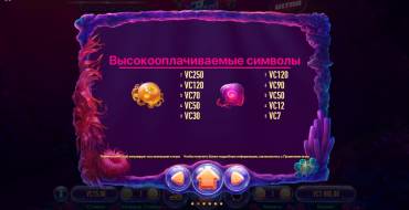 Jellyfish Flow Ultra: Auszahlungstabelle