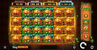 Joker Lanterns Hold and Win: Spielautomat