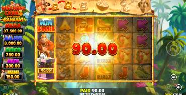 King Kong Cash 4 Even Bigger Bananas: Gewinne