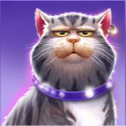 Kitty POPpins: Die Katze in Lila