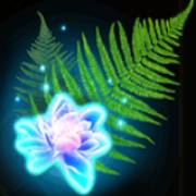 Kupala: Farn