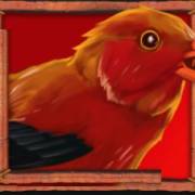 Lady Lava: Vogel