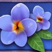 Lady Lava: Blumen