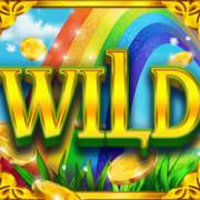 Limerick Lightning: Wild