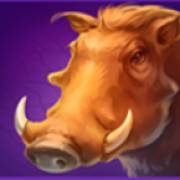 Lion Gems: Hold and Win: Wildschwein