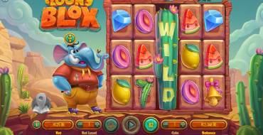 Loony Blox: Wild-Symbol