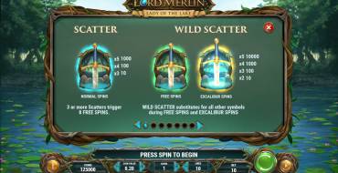 Lord Merlin and the Lady of the Lake: Regeln