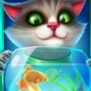 Lucie's Сats: Graue Katze