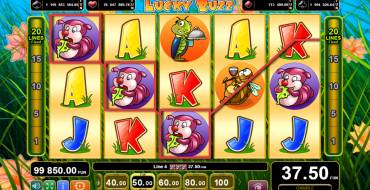 Lucky Buzz: Gewinne