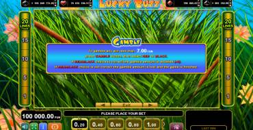 Lucky Buzz: Risiko-Spiel