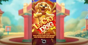 Lucky Dog: Einzigartige Merkmale