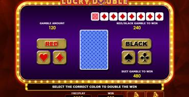 Lucky Double: Risiko-Spiel