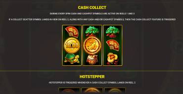 Lucky Fire Blitz Hotstepper: Bonus Spiele