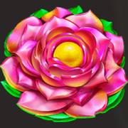 Lucky Fire Blitz Hotstepper: Blume