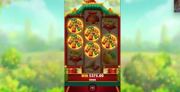 Lucky Mouse: Gewinne