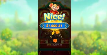 Lucky Mouse: Gewinne