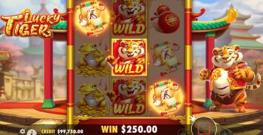 Lucky Tiger: Gewinne