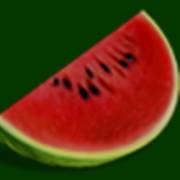 Lucky & Wild: Wassermelone