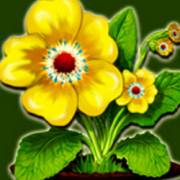 Lucky Wood: Blume