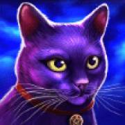 Madame Destiny Megaways: Katze