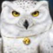 Magic Owl: Eule