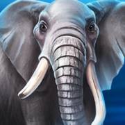 Majestic Gold Megaways: Elefant