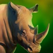 Majestic Gold Megaways: Rhinozeros