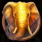 Majestic King Sunset: Elefant
