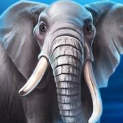 Majestic Megaways: Elefant