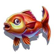 Marlin Masters: Karpfen
