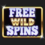 Maxiplier: Kostenlose Wild Spins