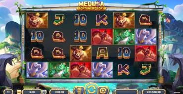 Medusa – Fortune and Glory: Schnittstelle