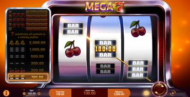 Mega 7: Gewinne