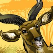 Mega Moolah: Antilope