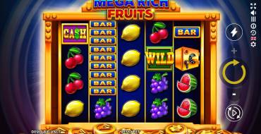 Mega Rich Fruits: Symbole