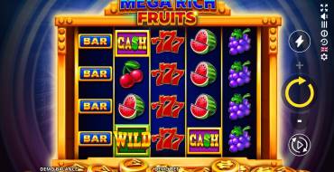 Mega Rich Fruits: Schnittstelle