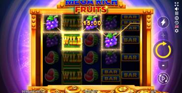 Mega Rich Fruits: Aktive Linien
