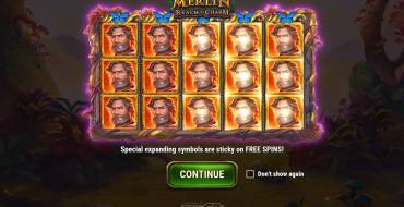 Merlin Realm of Charm: Einzigartige Merkmale