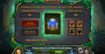 Merlin Realm of Charm: Risiko-Spiel