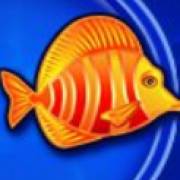 Mermaid's Gold: Fisch