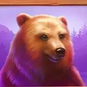 Money Moose: Bär