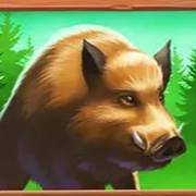 Money Moose: Wildschwein