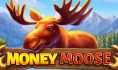 Spiel Money Moose