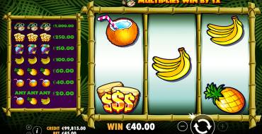 Monkey Madness: Gewinne