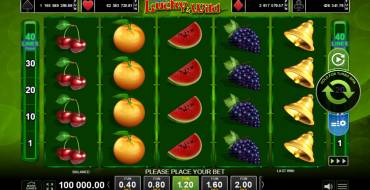 More Lucky & Wild: Spielautomat