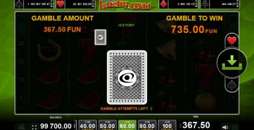 More Lucky & Wild: Risiko-Spiel